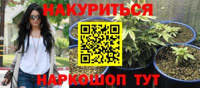 MDMA Новозыбков