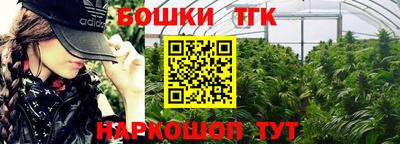 стаф Новодвинск