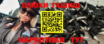 стаф Новодвинск